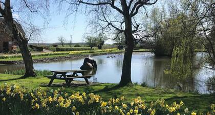 Lovely holiday home on Lolland