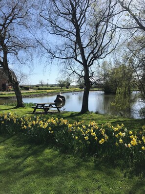 Speisen im Freien