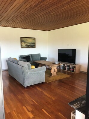 Un salon avec un canapé gris, une table basse, un téléviseur et une bibliothèque.