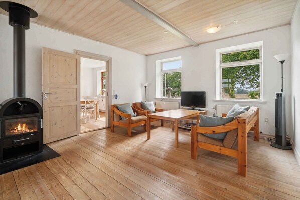 壁炉、DVD 播放器