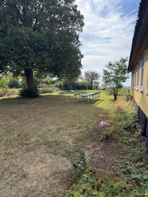 A grassy outdoor area with a bench, a tree, and a building. - Idyllic country house with sea view and sunsets (Rønne)