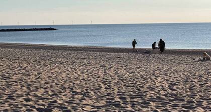 Cozy summer house close to the beach