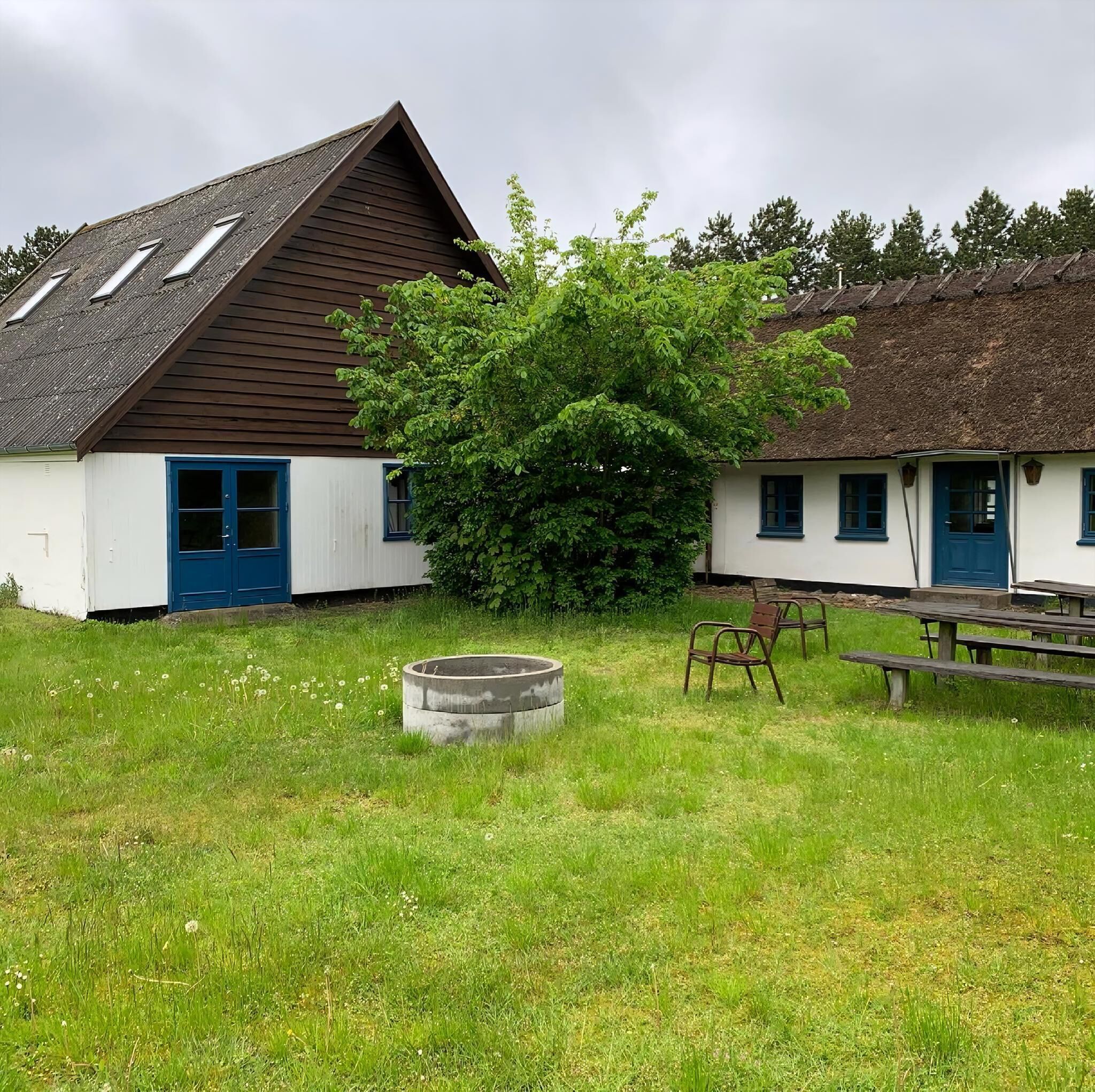 Ein rustikales Gebäude mit einem Reetdach, einem kleinen Gartenbereich mit einem Betonpflanzkübel und einer Bank.