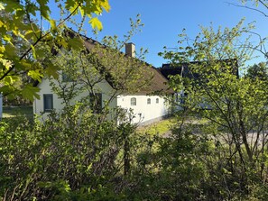 Eksteriør
