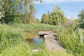 Een houten steiger die uitsteekt over een vijver, omgeven door weelderige begroeiing en bomen.