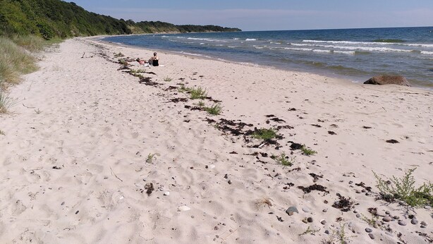 A sandy beach with scattered rocks and seaweed, a clear sky, and a distant view of the ocean. - Cozy summer house on Bornholm (Nexø)