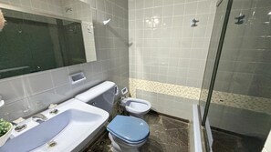 Shower, hair dryer, bidet, towels