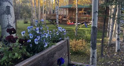 Gorgeous House in Healy, with HOT TUB