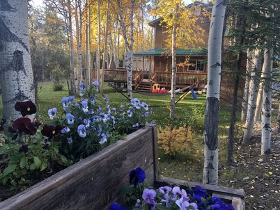 Gorgeous House in Healy, with HOT TUB