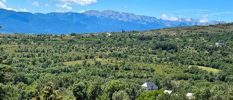 A rural landscape with rolling hills, scattered trees, and a few buildings.