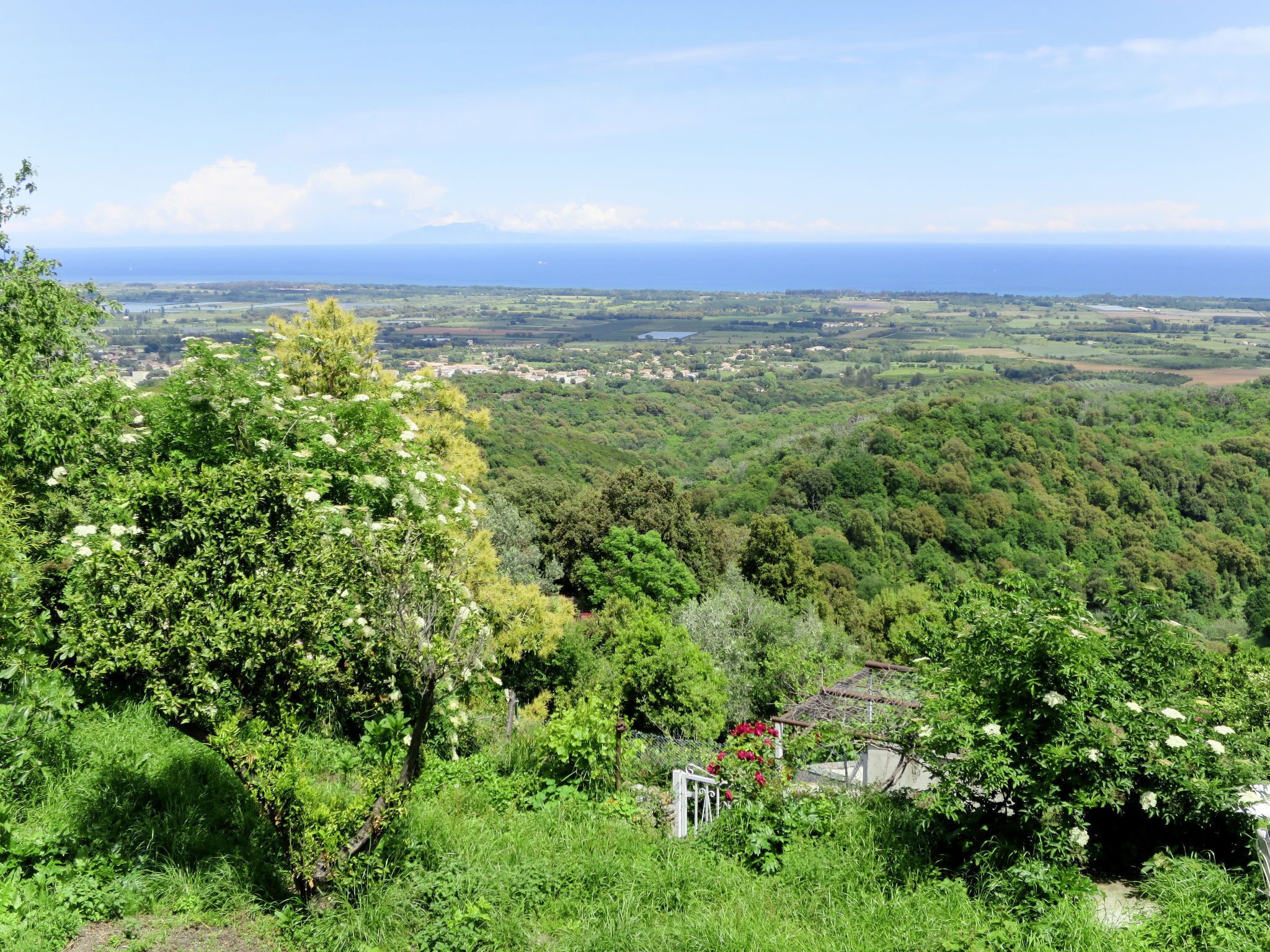Un paysage verdoyant et luxuriant, avec en toile de fond une ville côtière à l’horizon.