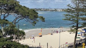 Une plage avec un rivage sablonneux, un filet de volley-ball et un drapeau.