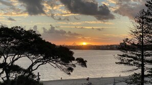 A sunset over a body of water with trees in the foreground and buildings in the background.