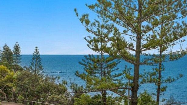 A coastal landscape with a clear view of the sea, a prominent pine tree in the foreground, and a clear sky. - Campbells Cove U12 a Kings Beach Escape (Kings Beach)