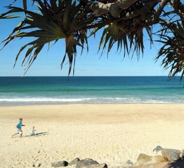 Une scène de plage avec un ciel dégagé, l’océan et un arbre aux longues feuilles.