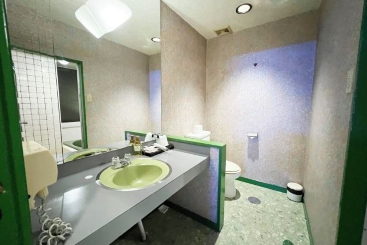 A bathroom with a green-framed sink, a mirror, a toilet, and a trash bin.
