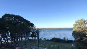 Vista de un cuerpo de agua con árboles y un área verde en primer plano.