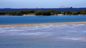 Beach - Riviere 718 Stunning Panoramic Golden Beach Views (Golden Beach)