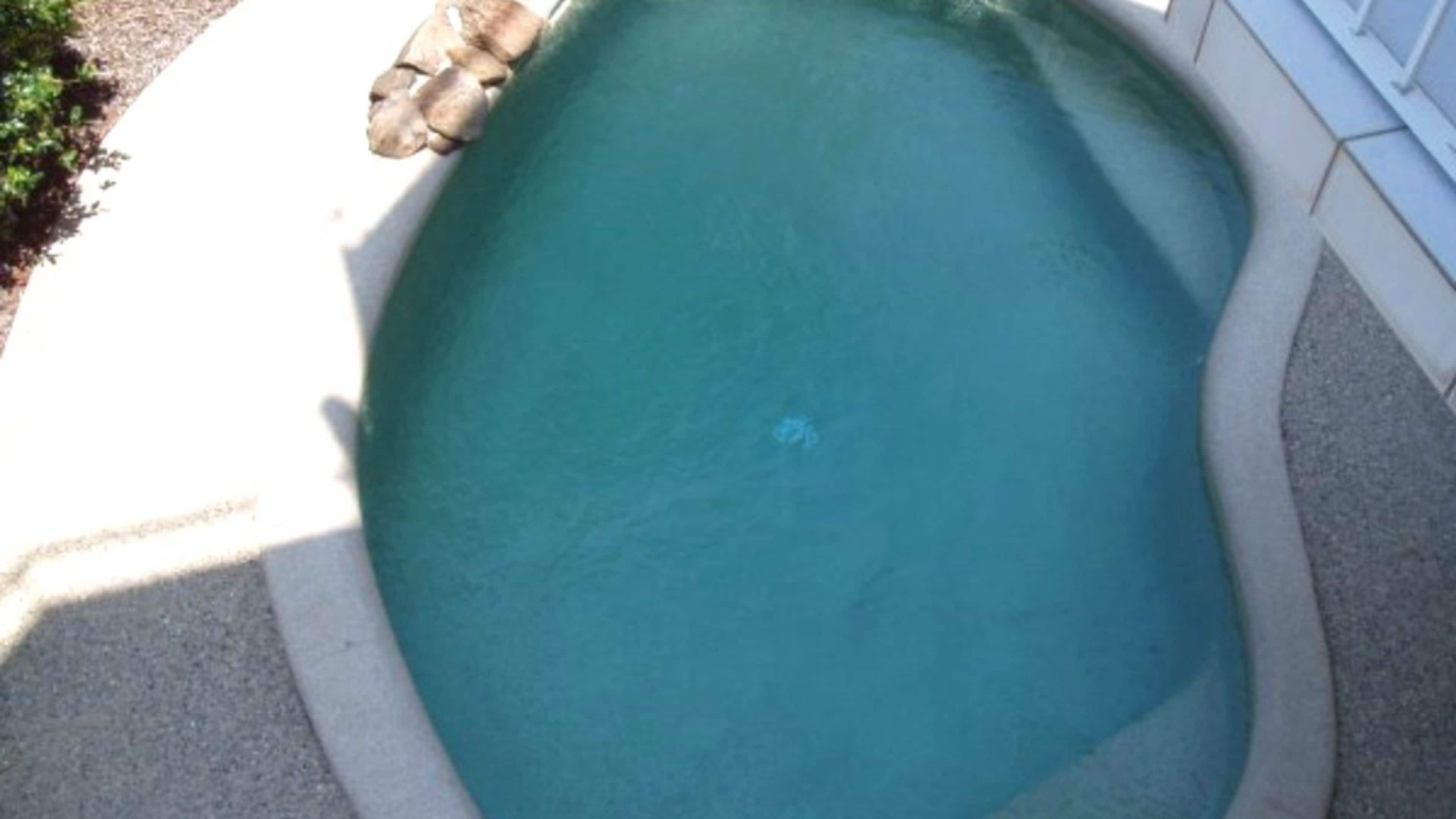 A swimming pool with a clear blue water surface, surrounded by a concrete edge and a white tiled deck.