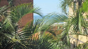 Property grounds - Solaris Court U2 Relax Swim and Unwind (Kings Beach)