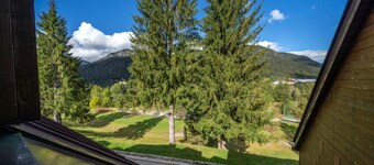 GuestHost - Functional 60 sqm apartment, ideal for 6 guests, 3 min walk from the Italian Ski and Snowboard School Tarvisio - Sella Nevea. Tarvisio, located in the heart of the Julian Alps, offers breathtaking landscapes and a rich variety of hiking trail