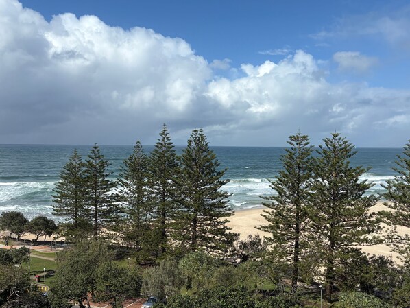 Une plage avec des vagues, des arbres et un ciel dégagé.