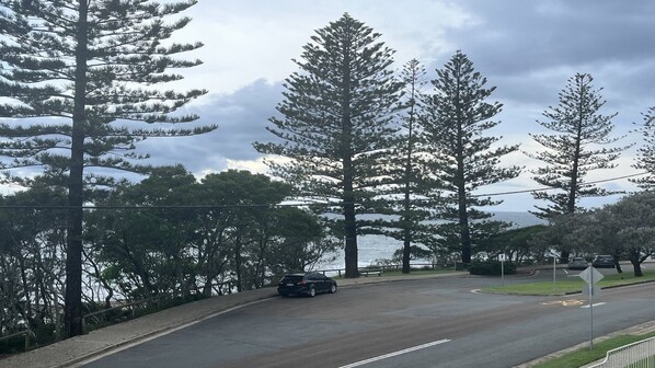 A road with a car, surrounded by tall trees and a view of the water.