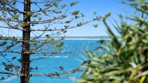منوع