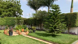 A well-maintained garden with a variety of potted plants and a neatly trimmed lawn.