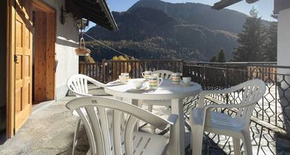 5' Bus to the Ski Slopes, Panoramic Chalet