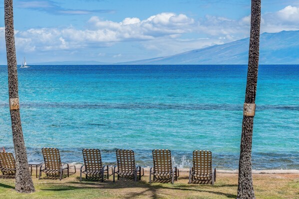 Plage, chaises longues, serviettes de plage