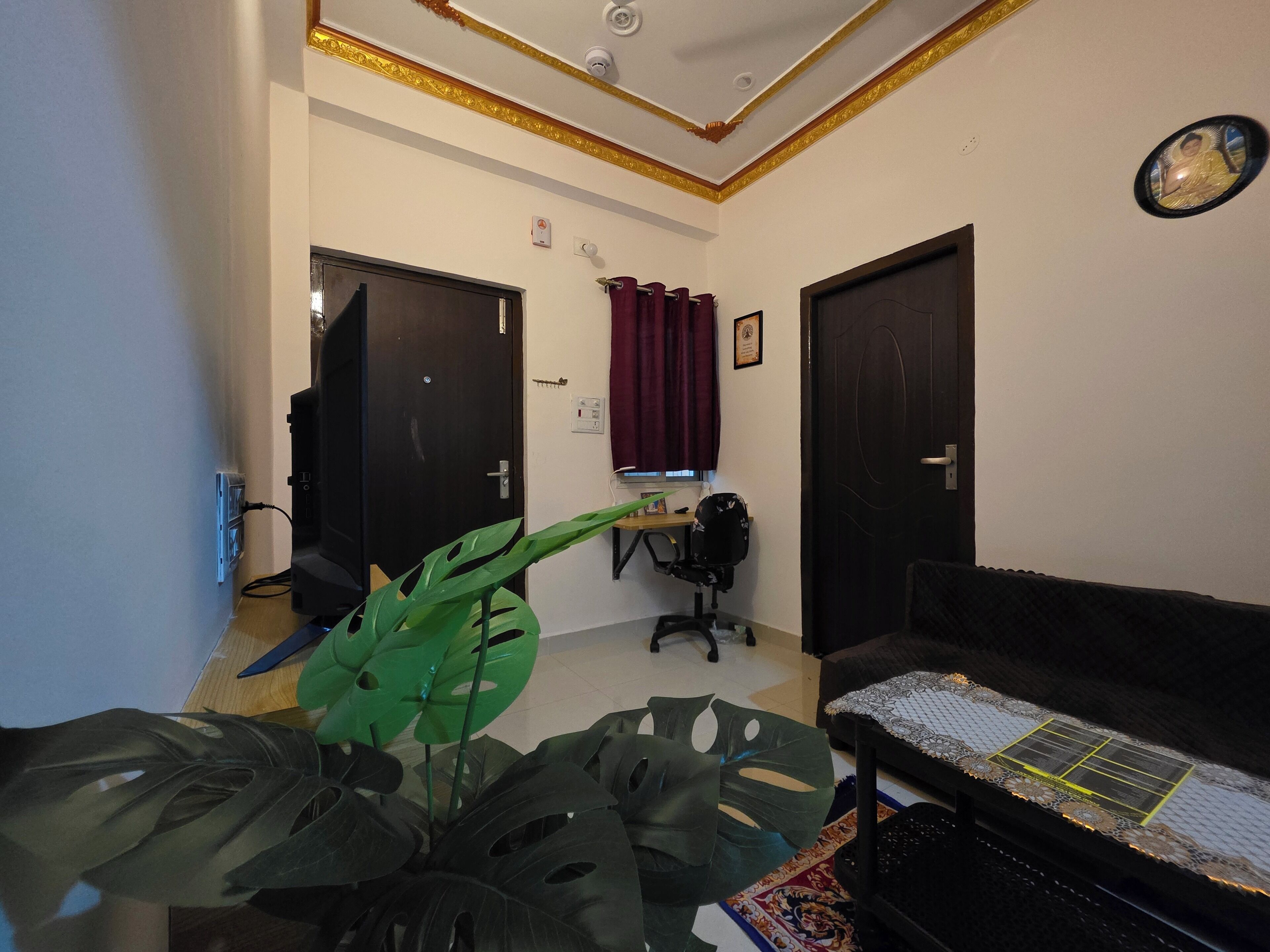 Une pièce comprenant un lit, un bureau, une chaise et une grande plante.