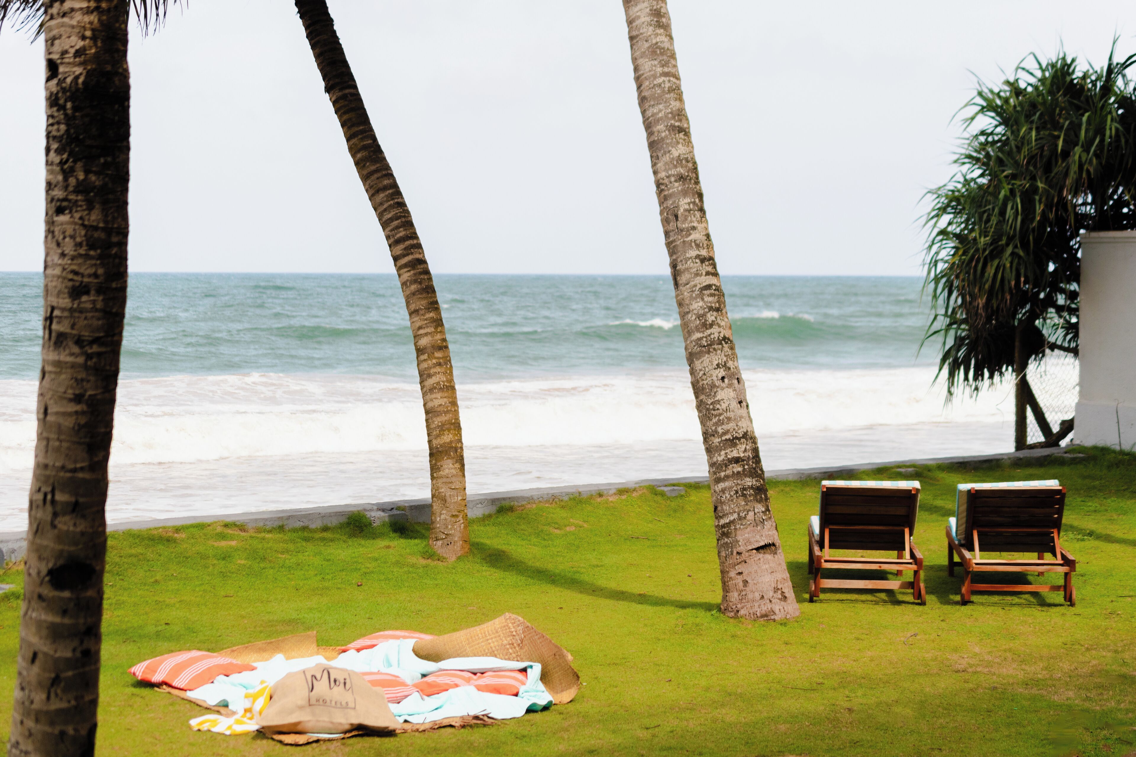 A beachside setting with palm trees, a grassy area, and two wooden lounge chairs facing the ocean.