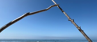 Lillie’s Oceanview RUSTIC Boho Surf Cottage
Steps to the beach & fun!