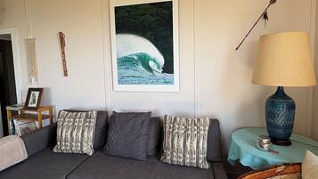 Smart TV, fireplace, books