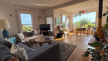 Smart TV, lareira, livros