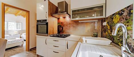 Fridge, stovetop, dishwasher, cookware/dishes/utensils