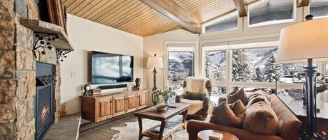 Télévision, cheminée, chaîne hi-fi