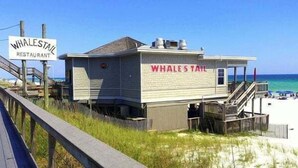 A beachside restaurant named 'Whale's Tail' with a simple structure, a covered outdoor seating area, and a staircase leading to the beach.