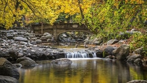 Un puente de piedra sobre un arroyo tranquilo, con rocas y follaje otoñal.