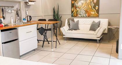 Swank House -Downtown Suite- Pet Friendly