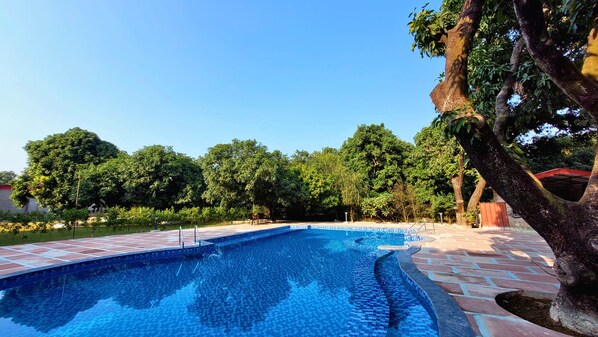 Outdoor pool, open 8:00 AM to 9:00 PM, sun loungers - The Greenwich Resort  (Ramnagar)
