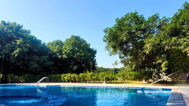 Una piscina con superficie de agua azul cristalina, rodeada por una solana empavedada y abundante vegetación.