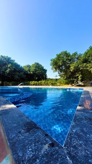 Outdoor pool, open 8:00 AM to 9:00 PM, pool loungers - The Greenwich Resort  (Ramnagar)