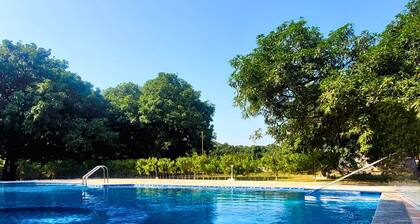 The Greenwich Resort