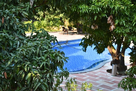 Una piscina al aire libre, sillones reclinables de piscina