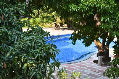 The Greenwich Resort 