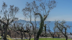 A park with trees, a fence, and a view of the sea and mountains.
