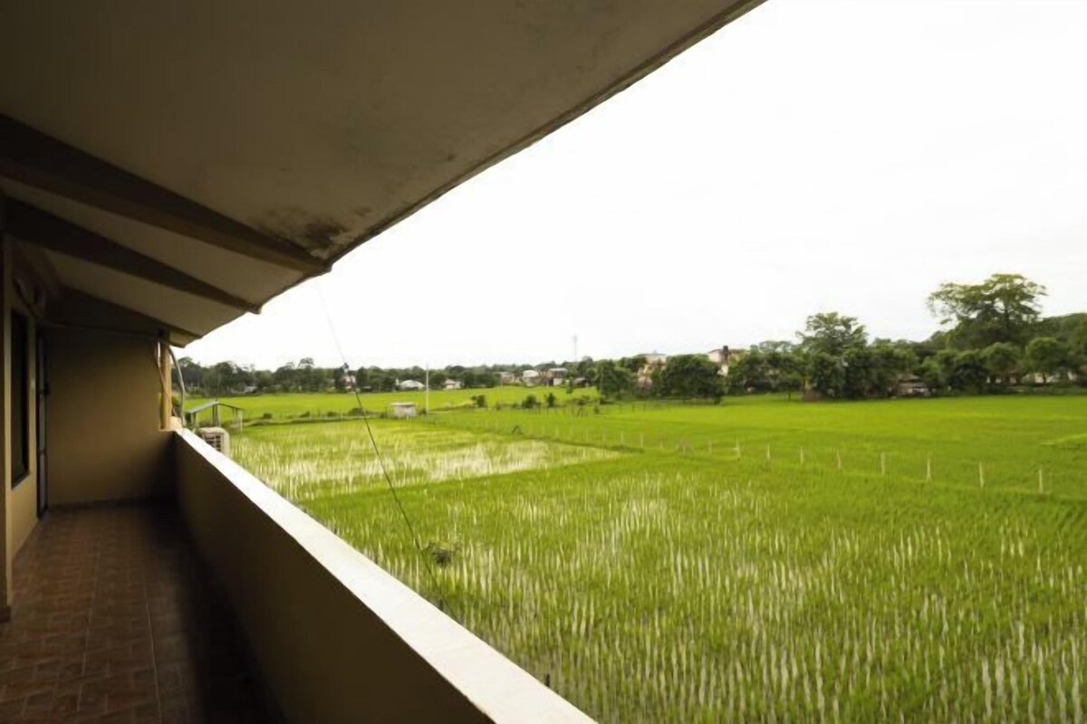 A balcony with a view of a green rice field and distant houses.
