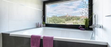 Ducha, secador de pelo, toallas